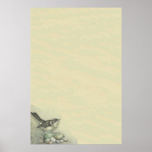 Poster Oiseaux et oeufs Bkgrd (Devant)