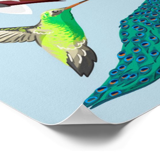 Poster Oiseaux exotiques (Coin)