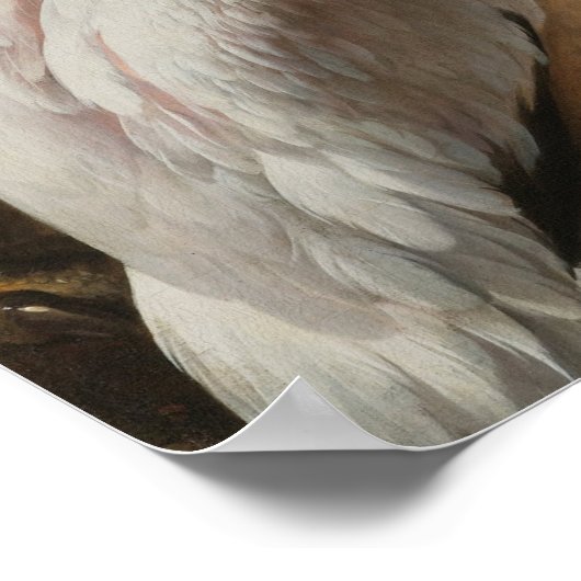 Poster Oiseaux fins (Coin)