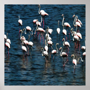 Poster Oiseaux Flamants roses en rose et blanc sur bleu I