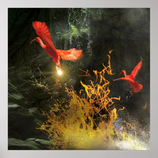 Poster Oiseaux Ibis Écarlate « VOLER LA LUMIÈRE » (Devant)