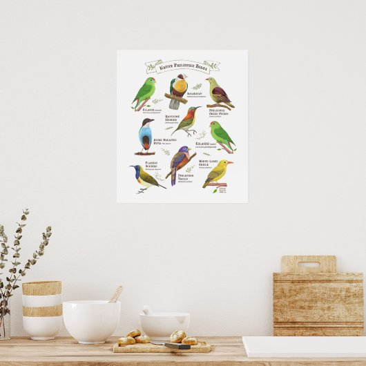 Poster Oiseaux indigènes aux Philippines (Cuisine)