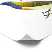 Poster Oiseaux indigènes aux Philippines (Coin)