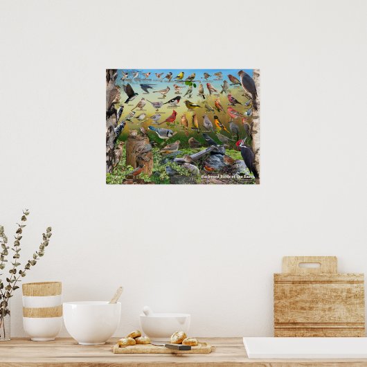 Poster Oiseaux jardins de l'Est (Cuisine)