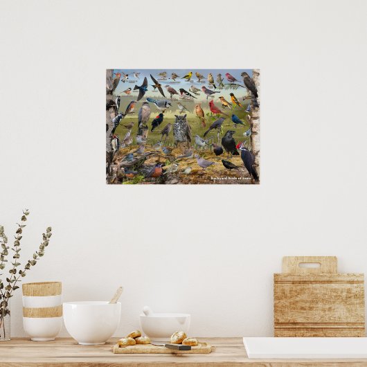 Poster Oiseaux jardins de l'Iowa (Cuisine)