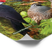 Poster Oiseaux jardins de l'Ouest (Coin)