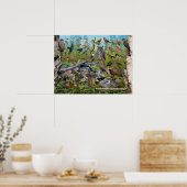 Poster Oiseaux jardins de Terre-Neuve (Cuisine)