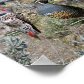 Poster Oiseaux jardins du Nevada (Coin)