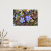 Poster Oiseaux Les violettes de pieds se lèvent à travers (Cuisine)