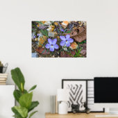 Poster Oiseaux Les violettes de pieds se lèvent à travers (Bureau à domicile)
