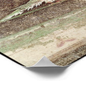 Poster Oiseaux mangeant des noix (Coin)