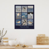 Poster Oiseaux marins de Floride Photos (Cuisine)