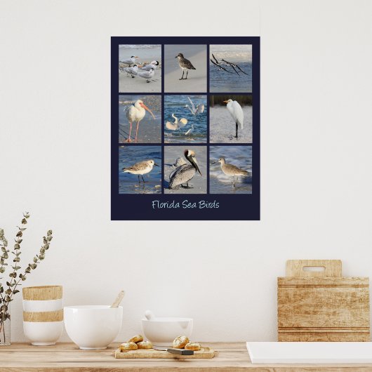 Poster Oiseaux marins de Floride Photos (Cuisine)