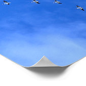 Poster Oiseaux migrateurs (Coin)