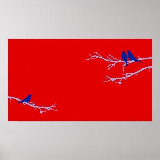 Poster oiseaux moisis (Devant)