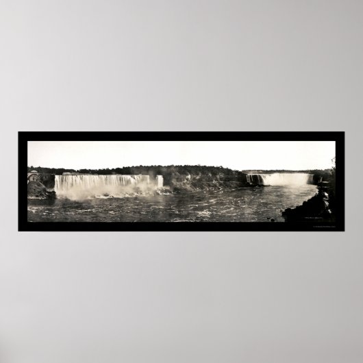 Poster Oiseaux Niagara Falls Photo 1916 (Devant)