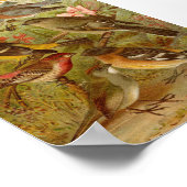 Poster Oiseaux nord-américains | Tzel Gustav Mü (Coin)