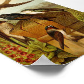 Poster Oiseaux nord-américains | Tzel Gustav Mü (Coin)