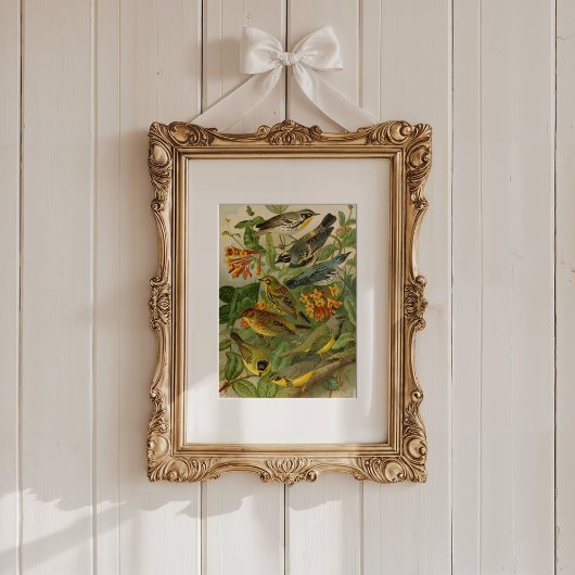 Poster Oiseaux nord-américains | Tzel Gustav Mü