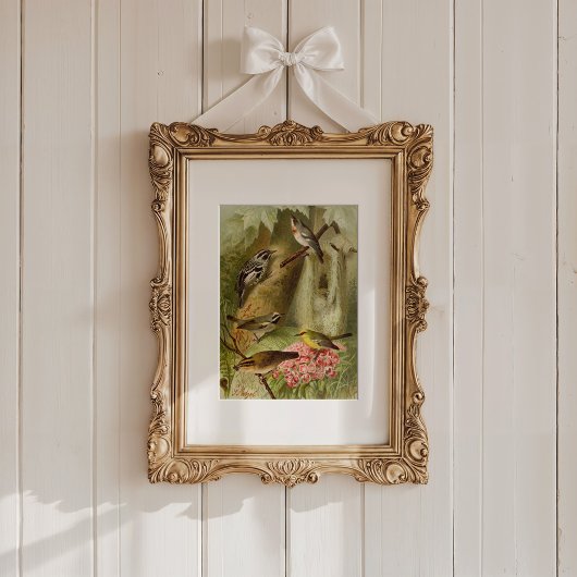 Poster Oiseaux nord-américains | Tzel Gustav Mü