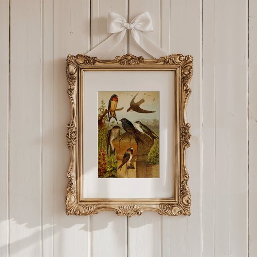 Poster Oiseaux nord-américains | Tzel Gustav Mü