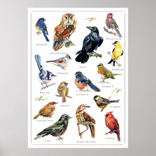 Poster Oiseaux peints à la main (Devant)
