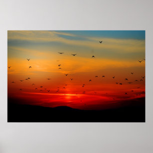 Poster Oiseaux prendre l'avion au coucher du soleil, phot