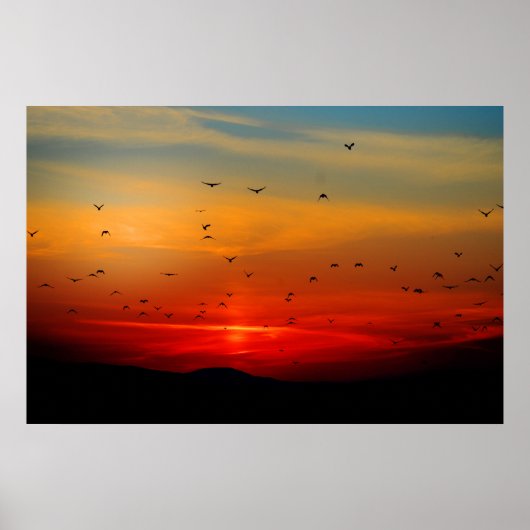 Poster Oiseaux prendre l'avion au coucher du soleil, phot (Devant)