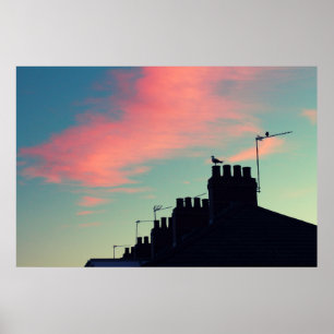 Poster Oiseaux primitifs