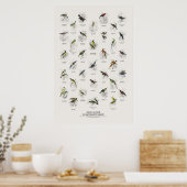 Poster Oiseaux-Soleil - Bibliothèque des Naturalistes (Cuisine)