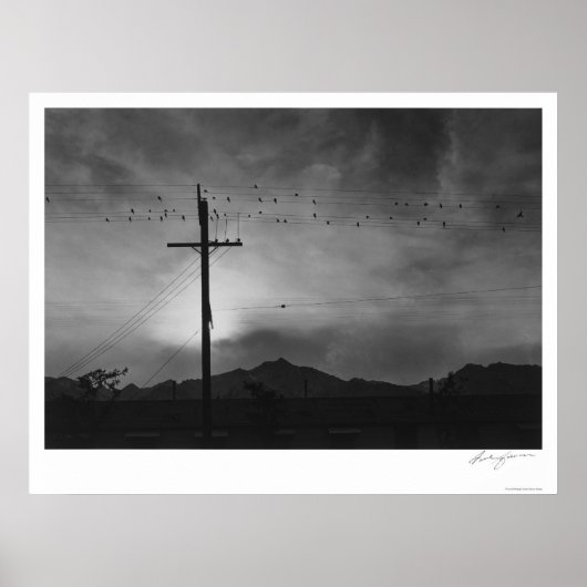 Poster Oiseaux Sur Fil, Soirée 1943 (Devant)