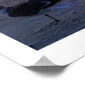 Poster Oiseaux Sur Le Rivage (Coin)
