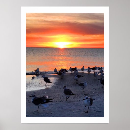 Poster Oiseaux Sur Le Rivage (Devant)