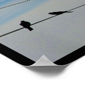 Poster Oiseaux sur un fil (Coin)