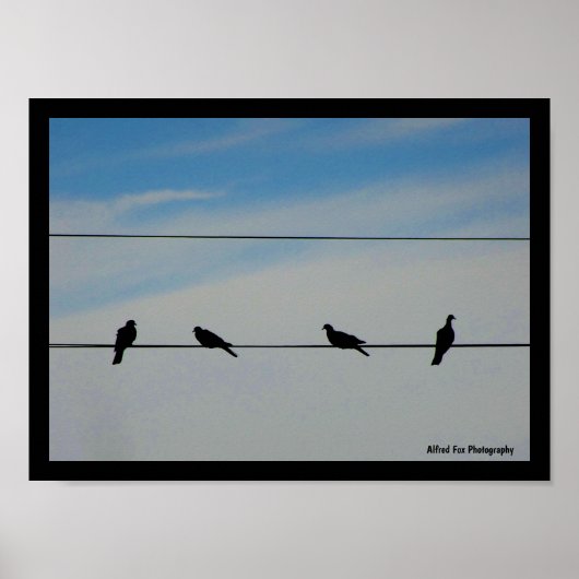 Poster Oiseaux sur un fil (Devant)