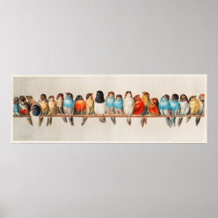 Poster Oiseaux tripiques colorés sur une branche