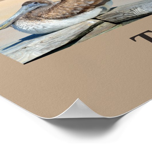 Poster Oiseaux tropicaux de Floride (Coin)