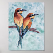 Poster Oiseaux tropicaux exceptionnels (Devant)