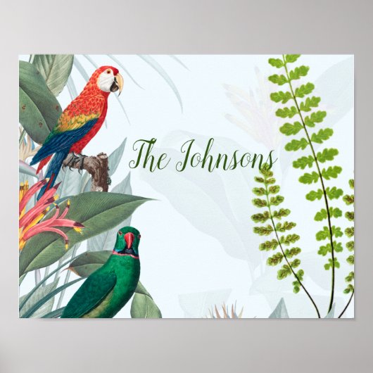 Poster Oiseaux tropicaux Perroquets et feuillage (Devant)