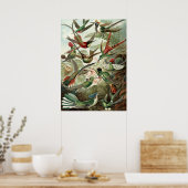 Poster Oiseaux vintages (Cuisine)