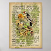 Poster Oiseaux vintages (Devant)