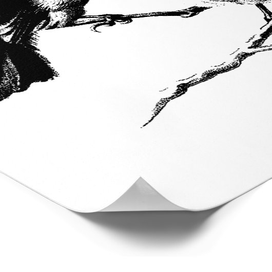 Poster Oiseaux vintages de boules (Coin)