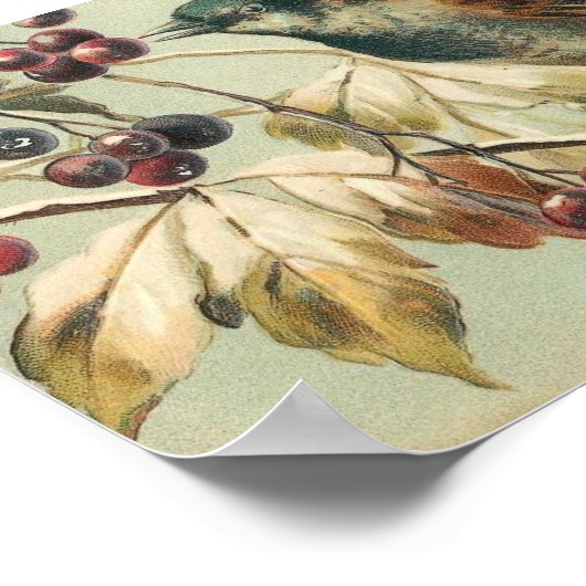 Poster Oiseaux vintages et baies (Coin)