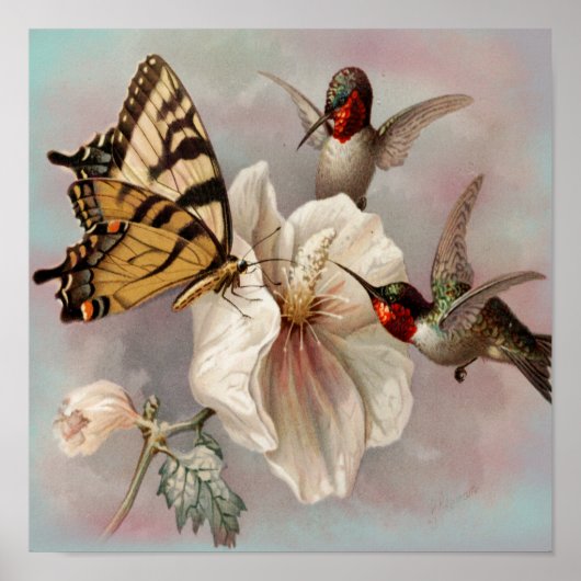 Poster Oiseaux vintages et papillons Partager un repas (Devant)