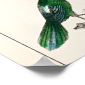 Poster Oiseaux vintages Vieille illustration Art Animaux (Coin)