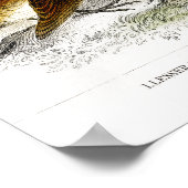 Poster Oiseaux vintages Vieux livre Illustration Art (Coin)