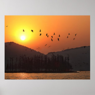 Poster Oiseaux volant dans le ciel du coucher de soleil s