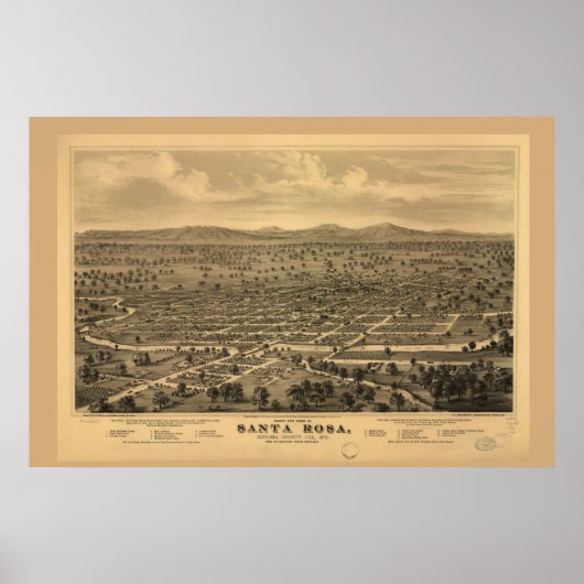 Poster Oiseaux Vue oeil Père Noël Rosa (Devant)