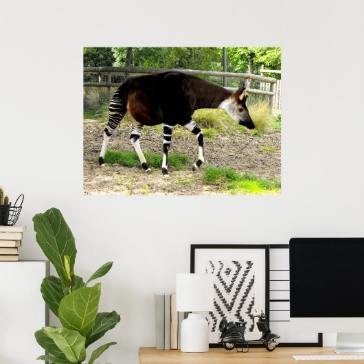 Poster Okapi (Bureau à domicile)