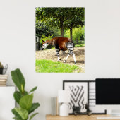 Poster Okapi à pied (Bureau à domicile)